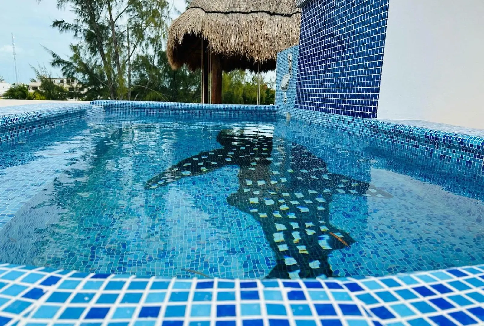 Hotel Villas Ponto Holbox