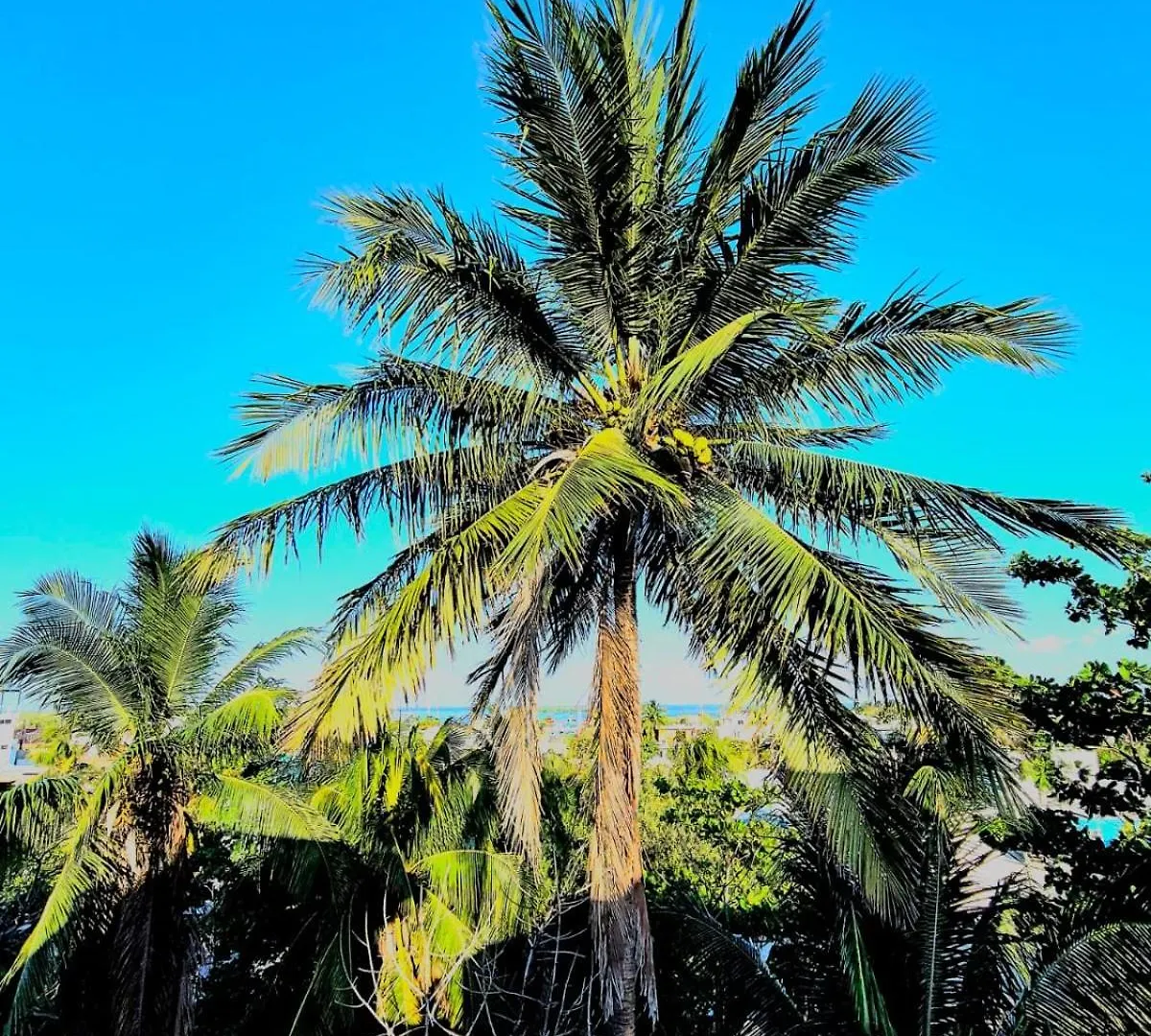 Hotel Villas Ponto Holbox