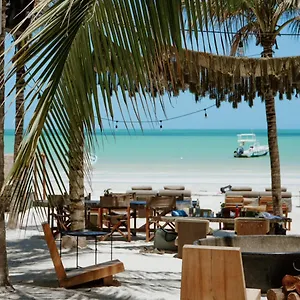 Casa Tortugas Petit Hotel&spa Hotel